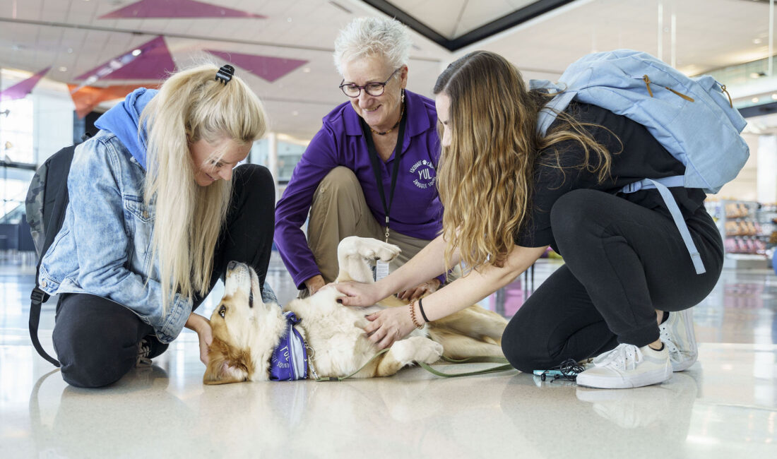Montréal-Trudeau Uluslararası Havalimanı (YUL), yolcu deneyimini iyileştirmek amacıyla başlattığı dikkat