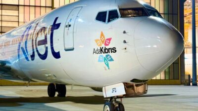 Turkish Airlines (THY) Chairman of the Board and Executive Committee,