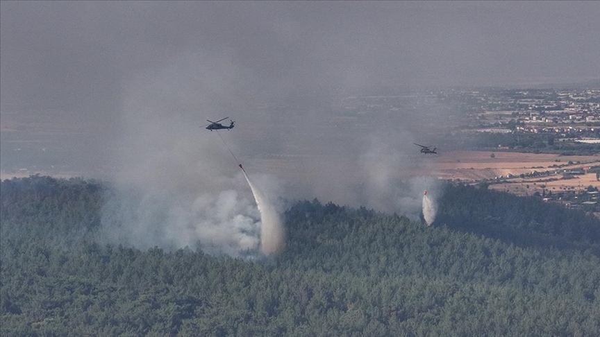 Tarım ve Orman Bakanı İbrahim Yumaklı, İzmir'in Çeşme ilçesindeki orman