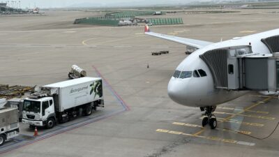 Bir sonraki uçuşunuzu beklerken, bekleme salonundan aprondaki uçakların etrafında olan