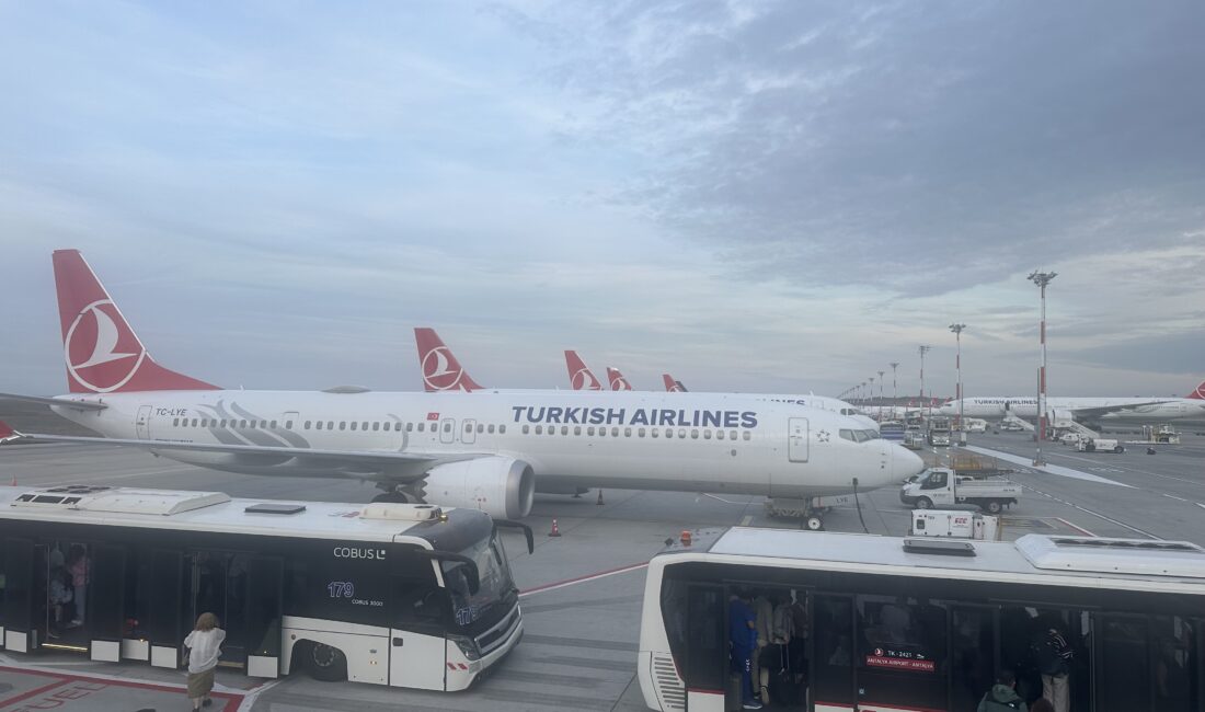 Aile ve Sosyal Hizmetler Bakanlığı, Aile Yılı kapsamında hayata geçirilen