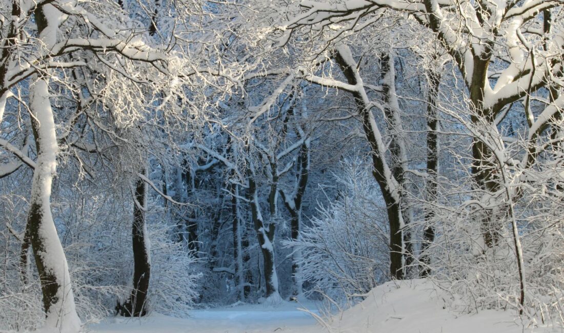 For many years, travel plans were shaped by seasons rather