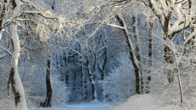 For many years, travel plans were shaped by seasons rather