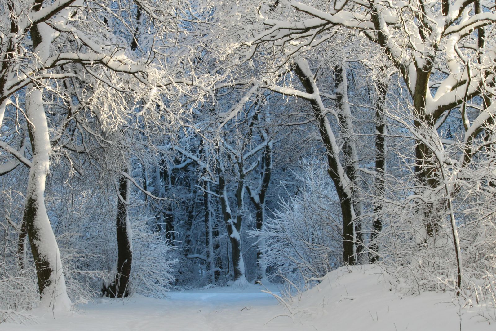 Uzun yıllar boyunca seyahat planları takvimlere göre değil, mevsimlere göre