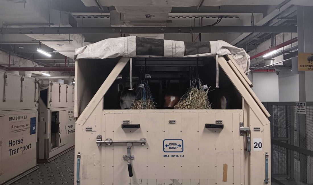 Qatar Airways'in 2 adet B777F kargo uçağı toplam 147 yarış