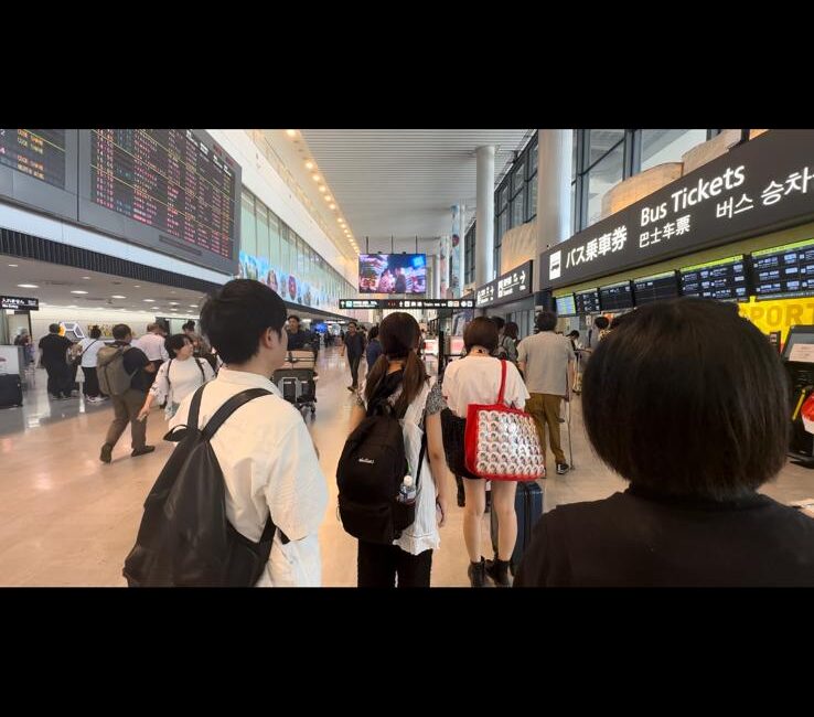 Uluslararası Hava Taşımacılığı Birliği (IATA), Avrupa ve Asya-Pasifik’te gerçekleştirilen dijital