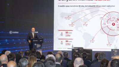 Türk Hava Yolları (THY) Genel Müdürü, Yönetim Kurulu ve İcra