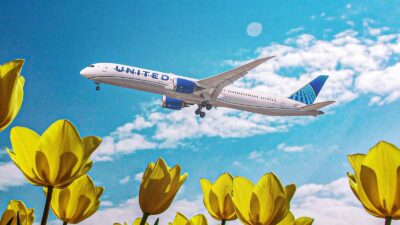 Uçak kazalarına ilişkin incelemeler ve National Geographic gibi platformlarda yayımlanan